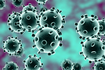 Pesquisadores afirmam que anticorpos podem durar até 12 meses após infecção pela Covid