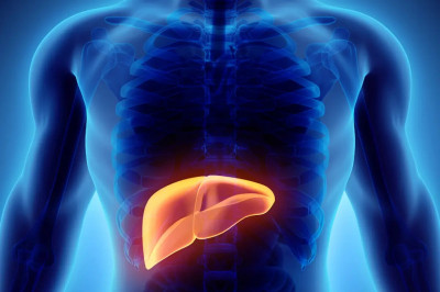 Quais os primeiros sintomas que indicam câncer no fígado