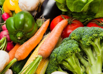 931 milhões de toneladas de alimentos foram para o lixo em 2019, diz ONU