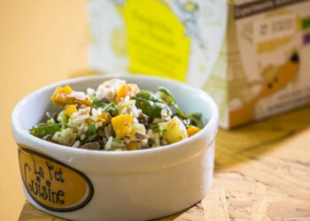 Empresas apostam em comida de gente para bichos de estimação