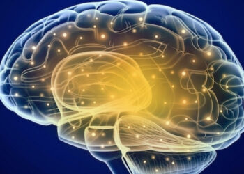 QI define inteligência e influencia nas demais inteligências, aponta especialista