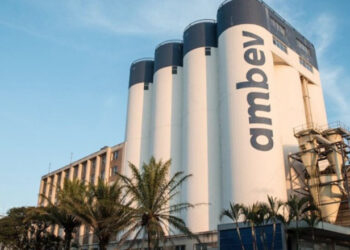 Ambev inscreve para estágio com vagas em São Luís