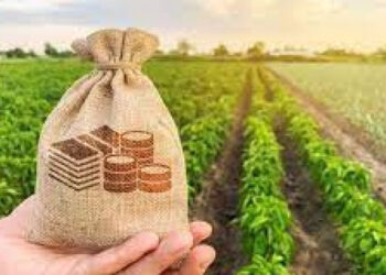 Conheça o setor que deve gerar mais de 178 mil vagas de emprego até 2023