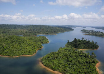 Noruega retomará ajuda a fundo da Amazônia