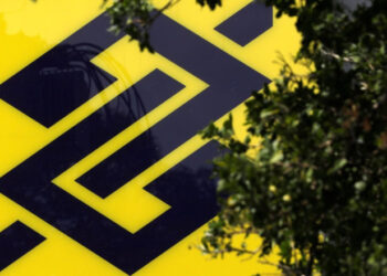 BB Seguridade pagará R$ 3,2 bilhões em dividendos