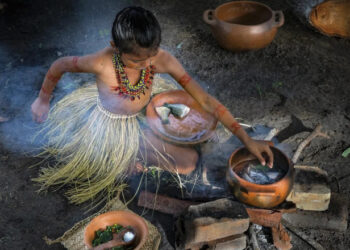 C6 Bank disponibiliza download gratuito do livro Amazônia das Crianças