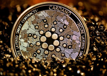 Cardano fecha parceria inédita com a Petrobras