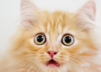 Geradas por IA, imagens podem ser criadas de forma inadequada para menores