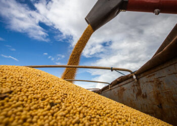 Mais de 51 milhões de toneladas de grãos foram exportados pelos portos amazônicos em 2023