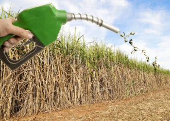 CEO da Raízen vê demanda em alta e espaço para reajustes no preço do etanol