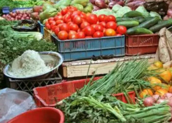 IBGE aponta que IPCA de janeiro subiu 0,42% pressionado por alimento