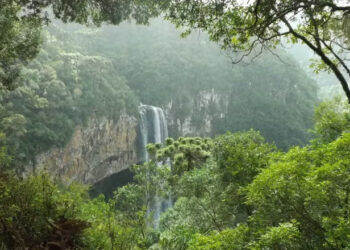 Agenda ESG cria oportunidades para startups com impacto socioambiental