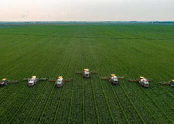 Agricultura brasileira ultrapassa R$ 1,14 trilhão no Valor Bruto da Produção