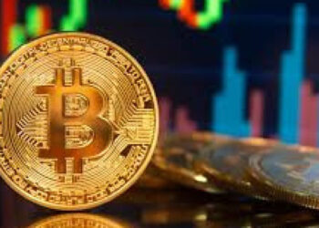 Saiba quais são as estratégias para garantir a transferência de criptomoedas aos seus herdeiros