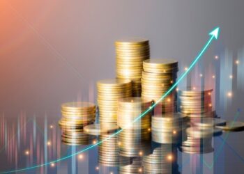 Tesouro IPCA+ ou Tesouro Selic: qual é a melhor escolha em cenário de inflação e juros elevados?