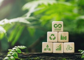 Desafios e oportunidades na implementação da economia circular em países em desenvolvimento