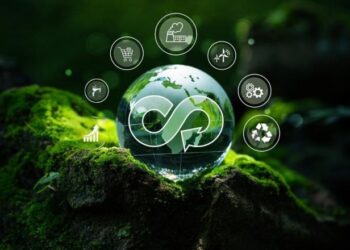 Economia Circular: o modelo de negócio que está revolucionando empresas