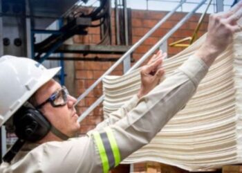 XP Investimentos atualiza recomendações para Suzano, Klabin e Irani no setor de papel & celulose