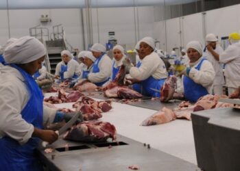 Carnes puxam inflação de alimentos e pressionam orçamento familiar até 2025