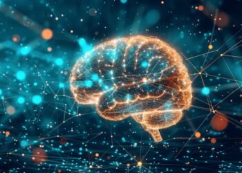 Como o cérebro humano influencia as Redes Neurais