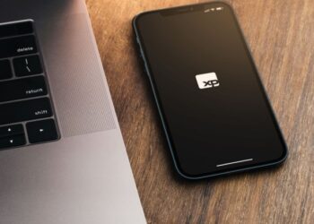 Confira os títulos públicos inseridos pela XP nas recomendações para dezembro