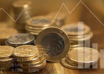 Parcela de títulos da dívida corrigidos pela Selic sobe para 46,13% em novembro