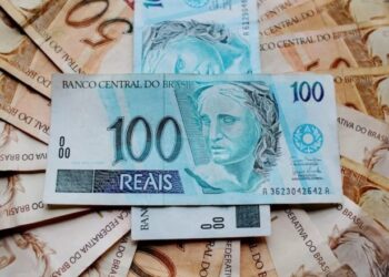 Tesouro Direto atinge recorde em 2024: prefixados chegam a 16%