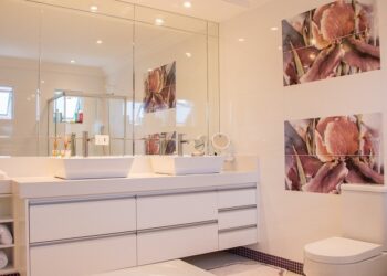 Vaso sanitário vazando quando dá descarga: como resolver