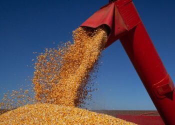Agro puxa aumento e PIB brasileiro cresce 1,4% no primeiro trimestre de 2025