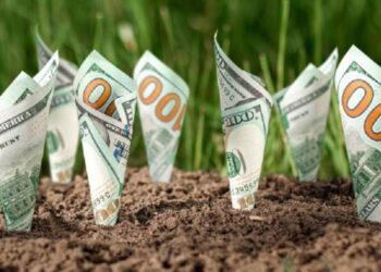 Os 10 Fiagros mais rentáveis em 2025