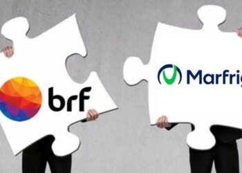 Cade aprova fusão entre Marfrig e BRF e nova gigante deve nascer até julho