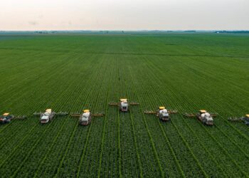 PIB da cadeia da soja e do biodiesel deve crescer 10,9% e chegar a R$ 821 bilhões em 2025