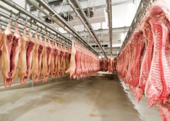 Frigoríficos brasileiros suspendem produção para os EUA diante de tarifa de 50%