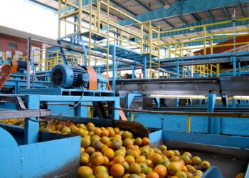 Exceções aliviam tarifaço de Trump e reduzem impacto em 41% ao Brasil