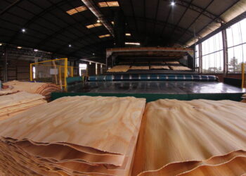 Setores de madeira, calçados e armas entram em férias coletivas e pedem apoio do governo contra tarifaço