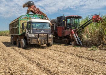 Governo negocia ampliar crédito rural via LCAs em meio à pressão da bancada do agro