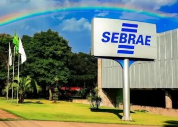 Sebrae e BTG Pactual lançam fundo de R$ 450 milhões para investir em startups