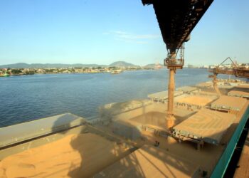 Soja dos EUA perde espaço para Brasil em vendas à China