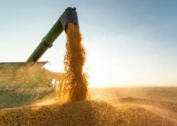 Agronegócio registra alta de 32% nos pedidos de recuperação judicial