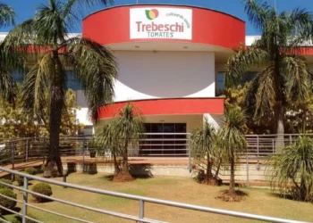 Grupo Trebeschi, maior produtor de tomates do país, pede recuperação judicial
