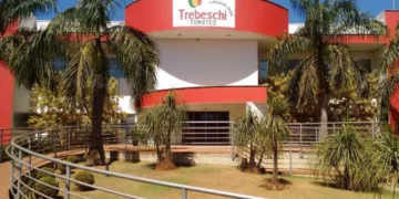 Grupo Trebeschi, maior produtor de tomates do país, pede recuperação judicial