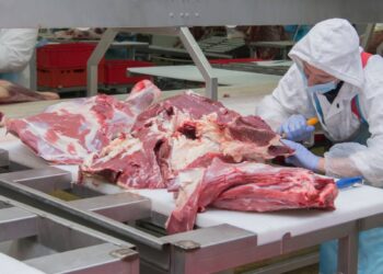 Carne bovina sobe 16% e mantém tendência de alta em 2026