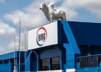 BMG Foods pede recuperação judicial com dívida de R$ 3,5 bilhões