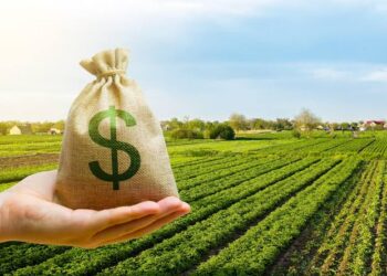 XP lança Fiagro de R$ 5,3 bilhões com carteira ligada ao agro