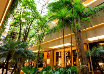 FII conclui compra de fatia do Shopping Cidade Jardim por R$ 454 milhões